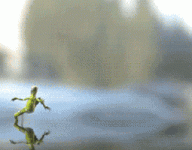 200.gif