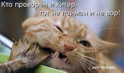 post-1235472849.webp