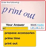 captchasolver.webp