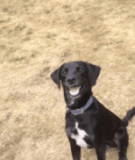 200.gif