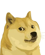 doge.webp doge.webp