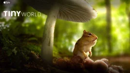 tiny-world.webp tiny-world.webp