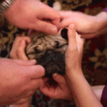 200.gif 200.gif