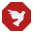 icon.webp