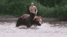tenor.gif