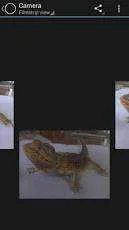 PKY0nzK3ekkjFS5kMlK9N6A8wSyFF_IGNMx_zXPfQh4ME=h230.webp