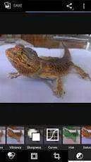A_l3Ezl1-wJA8jm1xtAALIN2mJc5VLK-pGVTIEVC3_D3g=h230.webp