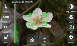 -kXbPjV7gcujgWBYKLIBxMrwbDcWqv-v8livWapcTz9bx=h230.webp