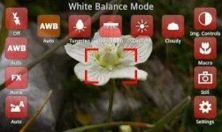 D5u2eWGP8YaA4bIfr2u03KROHSlBXgL4DnQzW9zsbY316=h230.webp