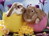 Bunny+Eggs.webp