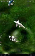 7MQKq3ty8FIdPnE8E1UeX4LR1lprwZ98lnugH1DyDJfYM=h230.webp