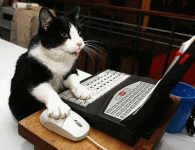c7783eeb.gif