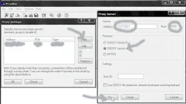 4.webp