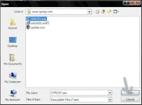 7.webp