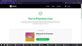 Spotify solo.webp