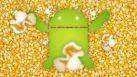 17p1xfpzy9rimjpg.webp