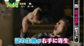 image16.webp image16.webp