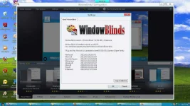 windowblinds_berhasil.webp