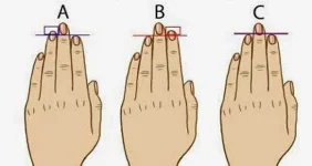 hand.webp