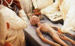 area-51-aliens.webp