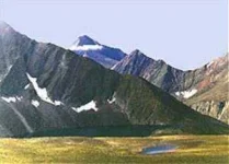 102.webp