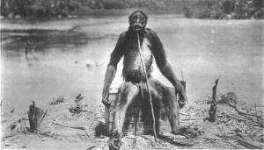 ameranthropoides_hr.webp