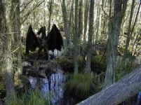 Jersey-Devil-Photo.webp
