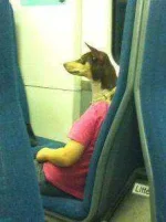 1923800800_1367068934.webp