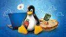 x1d3fdkgxwqoexau6l9g.webp