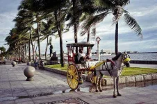 manila-bay.webp
