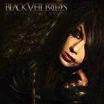 220px-WSTW_BVB_Cover_Art.webp