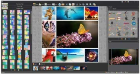 page.webp
