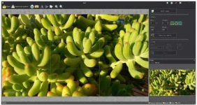 split.webp