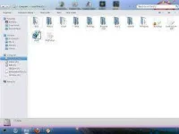 lion1.webp lion1.webp
