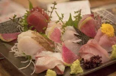 Fish-George-Alexander-Ishida-e1421940888534.webp