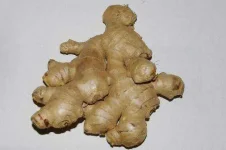 Ginger-Delphine-Menard-e1421942790596.webp