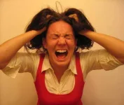 Stress-Brittney-Bush-Bollay-e1421935177862.webp