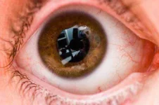 Eye-Brandon-Heyer-e1421949510456.webp