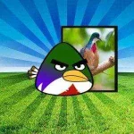 negros-bleeding-heart-pinoy-angry-birds.webp