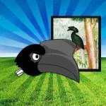 sulu-hornbill-pinoy-angry-birds.webp