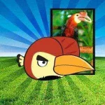 visayan-wrinkled-hornbill-pinoy-angry-birds.webp