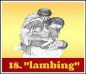lambing-+-english-tagalog-translator.webp