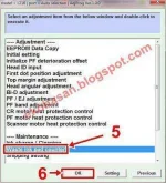 4.webp