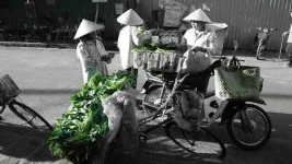 15_08_05_hoi_an-5_1715C9D688AA47C7B78B5D2F820E75FF.webp