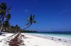 25177_620x.webp