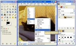gimp-19.webp gimp-19.webp