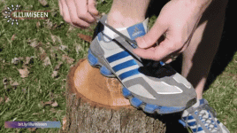 lc6zx.gif
