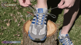 lc73h.gif