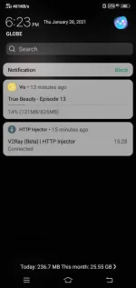 Screenshot_20210128_182333.webp