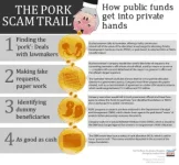 porkbarrelinfographic-300x278.webp